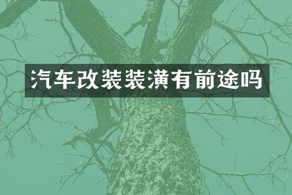 汽车改装装潢有前途吗
