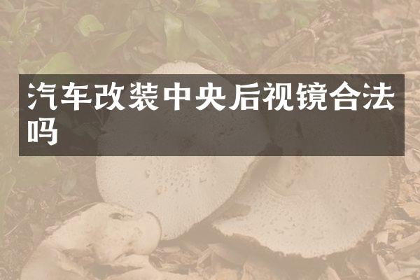 汽车改装中央后视镜合法吗