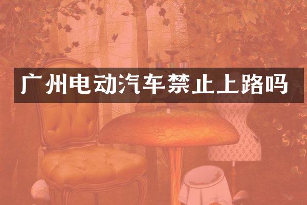 广州电动汽车禁止上路吗