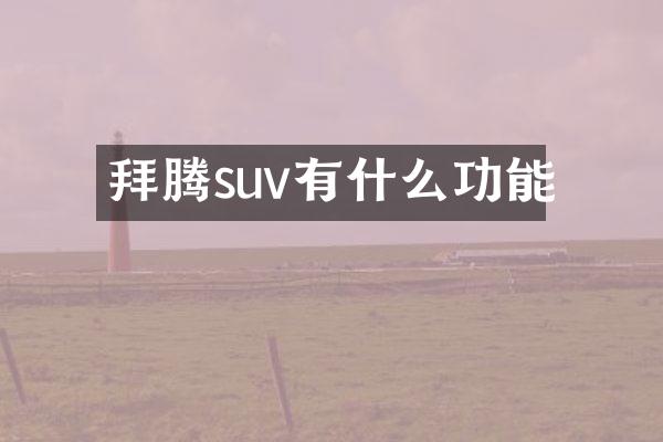 拜腾suv有什么功能