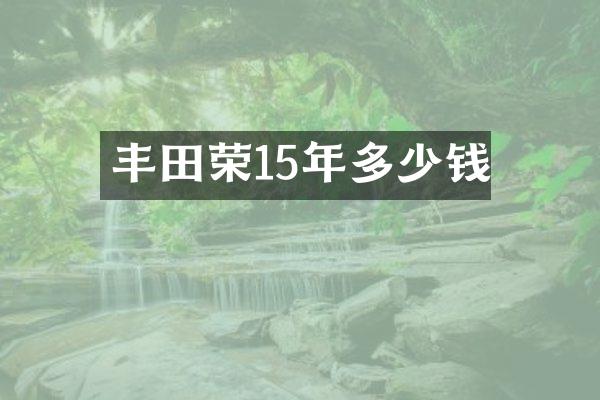 丰田荣15年多少钱