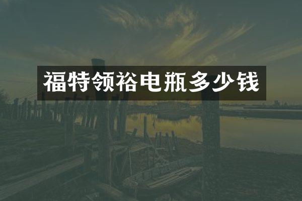 福特领裕电瓶多少钱