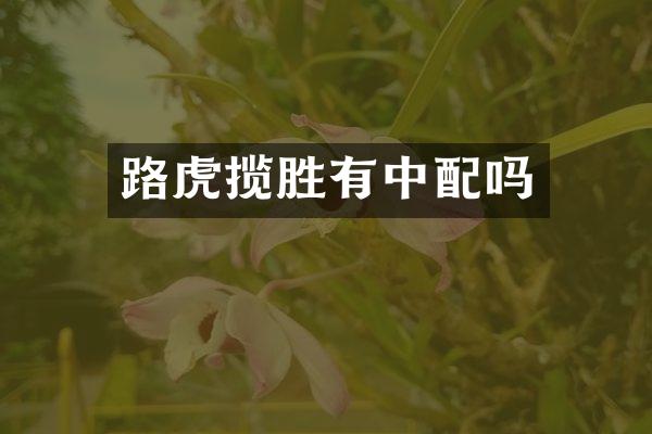 路虎揽胜有中配吗