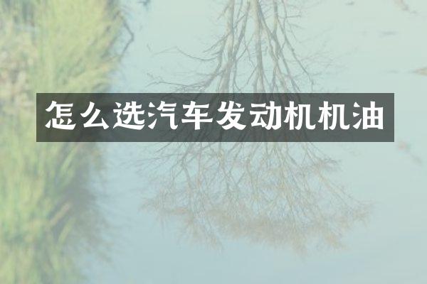 怎么选汽车发动机机油