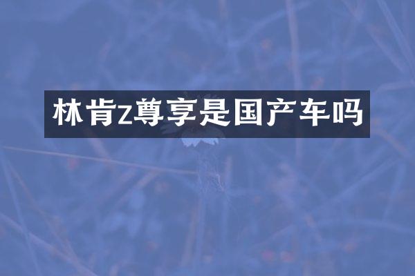 林肯z尊享是国产车吗