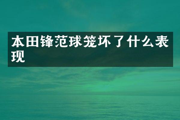 本田锋范球笼坏了什么表现