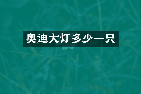 奥迪大灯多少一只