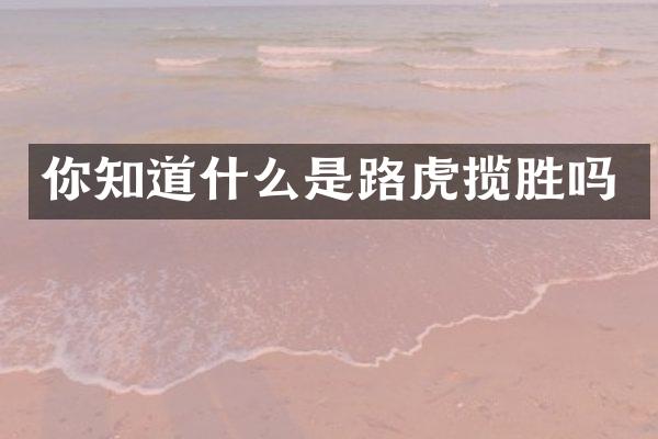 你知道什么是路虎揽胜吗