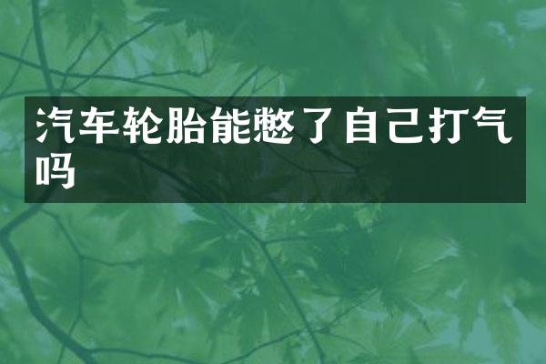 汽车轮胎能憋了自己打气吗