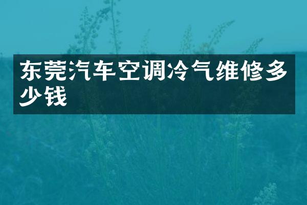 东莞汽车空调冷气维修多少钱