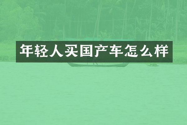年轻人买国产车怎么样
