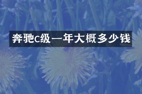奔驰c级一年大概多少钱