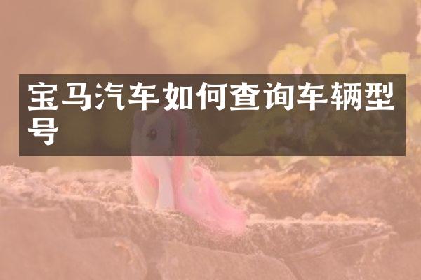 宝马汽车如何查询车辆型号