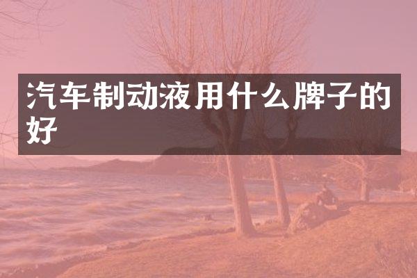 汽车制动液用什么牌子的好