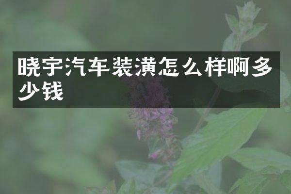 晓宇汽车装潢怎么样啊多少钱