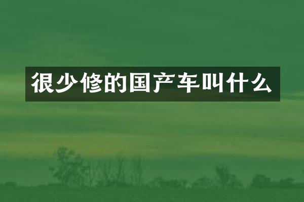很少修的国产车叫什么