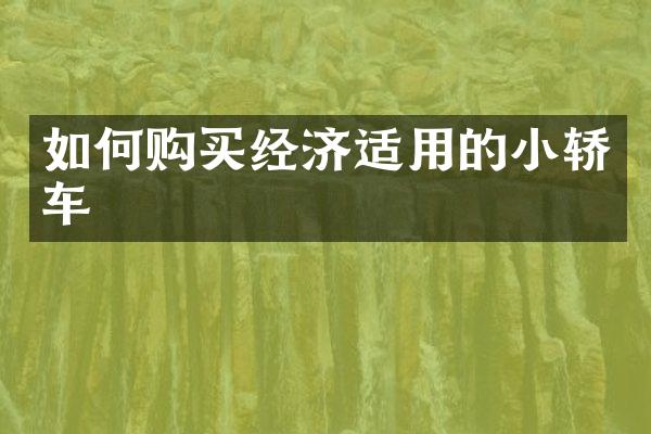 如何购买经济适用的小轿车