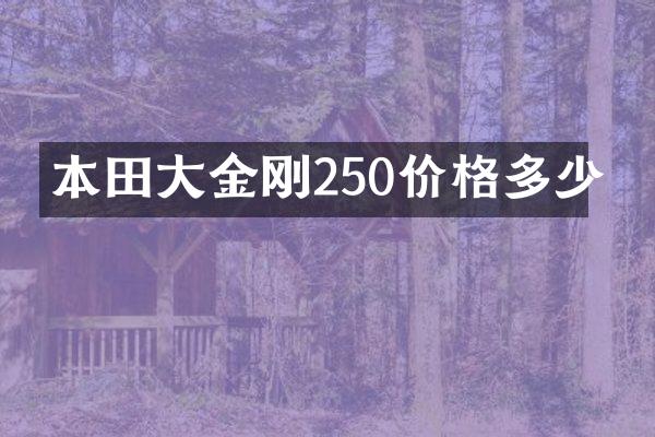 本田大金刚250价格多少