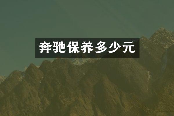 奔驰保养多少元