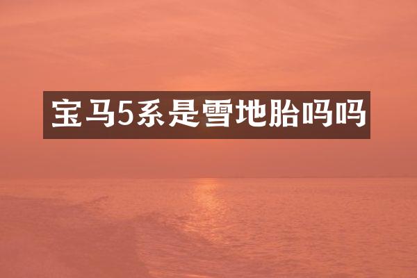 宝马5系是雪地胎吗吗