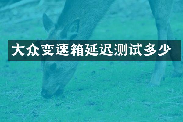 大众变速箱延迟测试多少