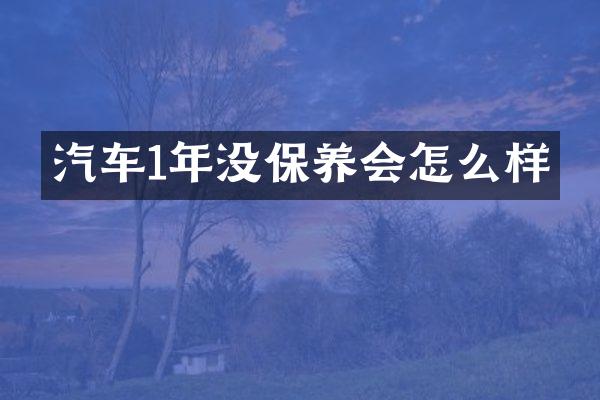 汽车1年没保养会怎么样