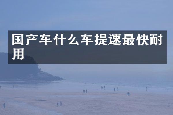 国产车什么车提速最快耐用