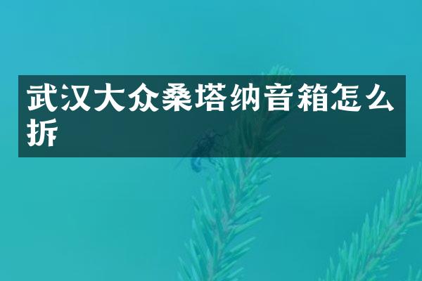 武汉大众桑塔纳音箱怎么拆