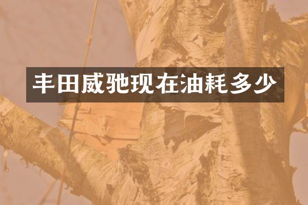丰田威驰现在油耗多少