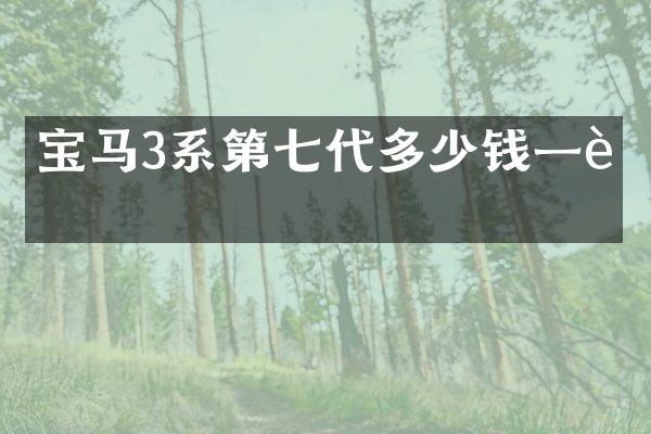 宝马3系第七代多少钱一辆