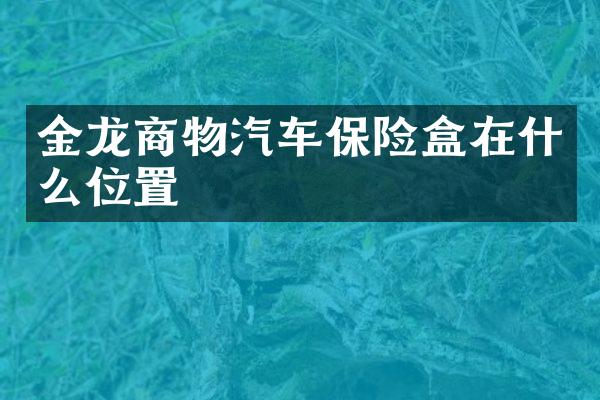 金龙商物汽车保险盒在什么位置