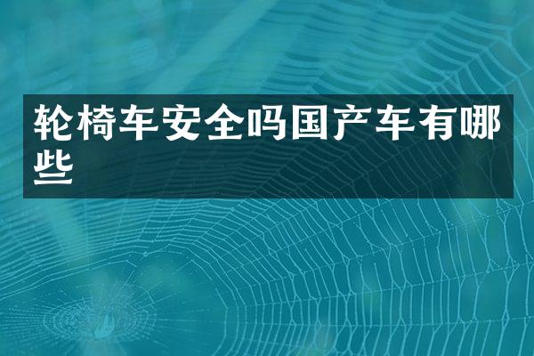 轮椅车安全吗国产车有哪些