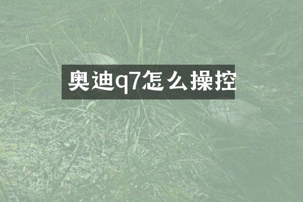 奥迪q7怎么操控