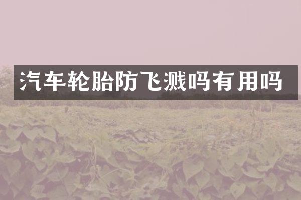 汽车轮胎防飞溅吗有用吗