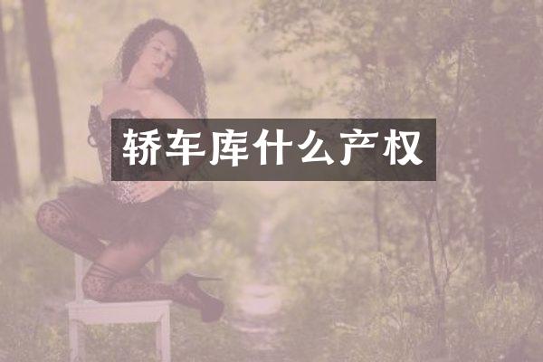 轿车库什么产权