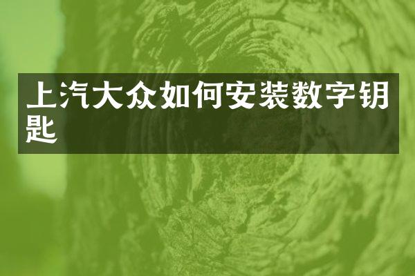 上汽大众如何安装数字钥匙