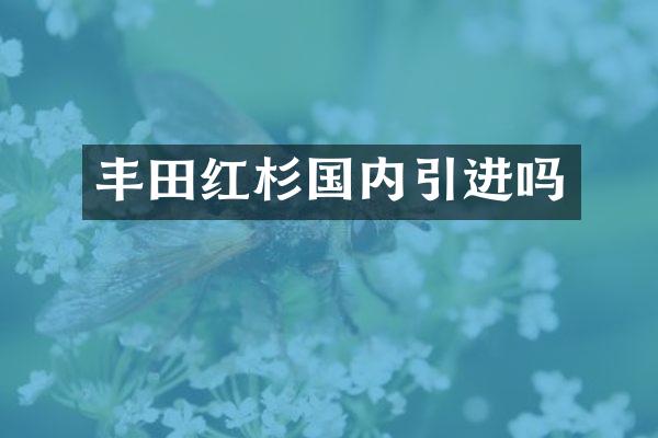 丰田红杉国内引进吗