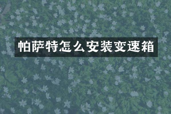 帕萨特怎么安装变速箱