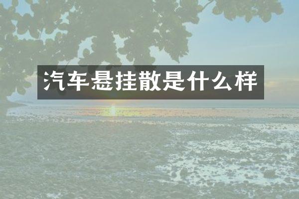 汽车悬挂散是什么样