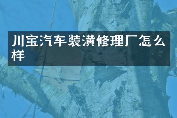 川宝汽车装潢修理厂怎么样