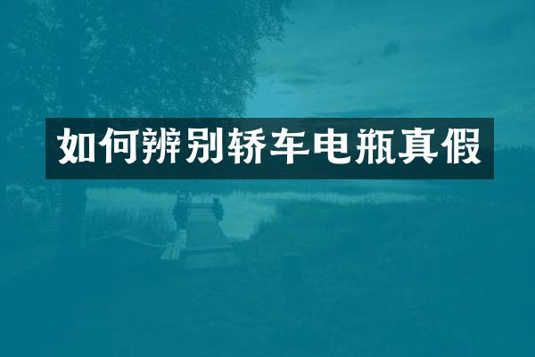 如何辨别轿车电瓶真假