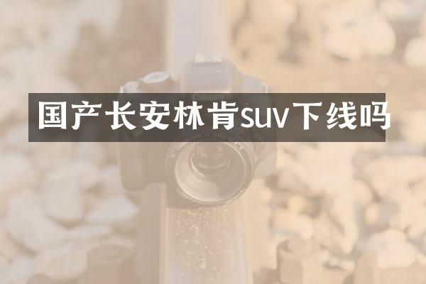 国产长安林肯suv下线吗