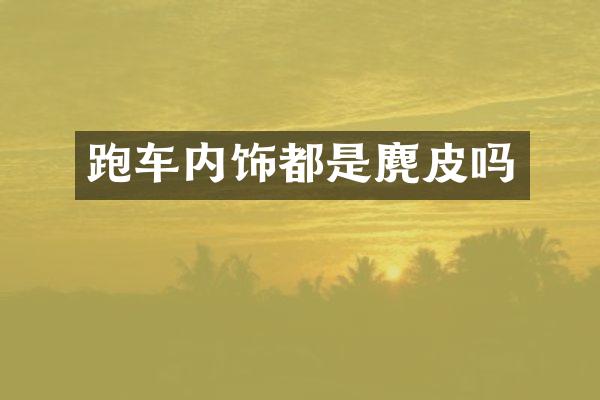 跑车内饰都是麂皮吗