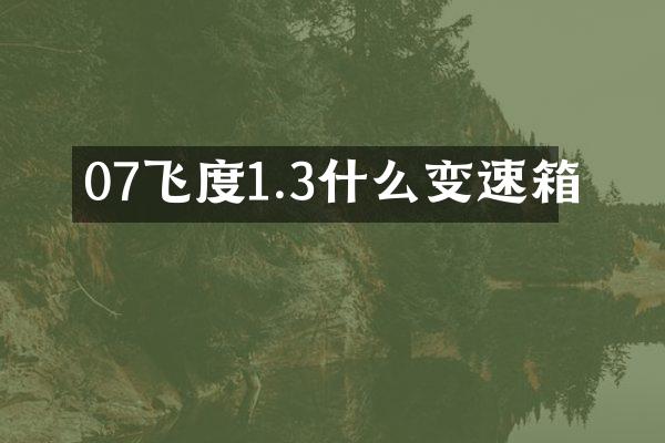 07飞度1.3什么变速箱