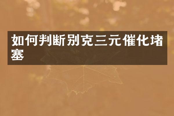 如何判断别克三元催化堵塞