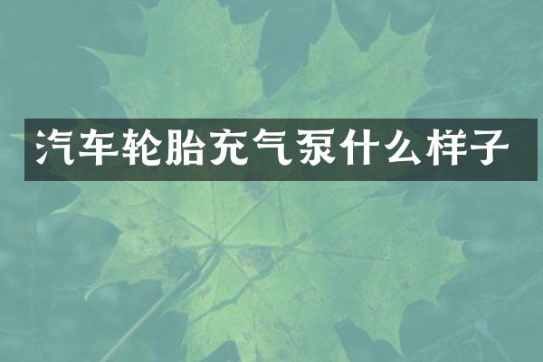 汽车轮胎充气泵什么样子