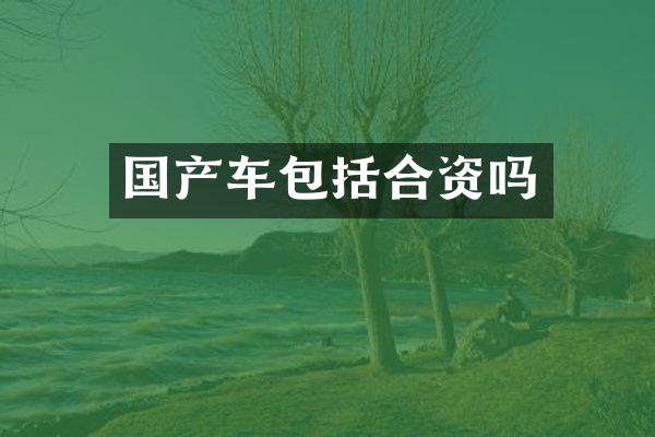 国产车包括合资吗