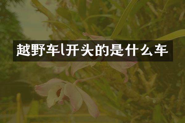 越野车l开头的是什么车