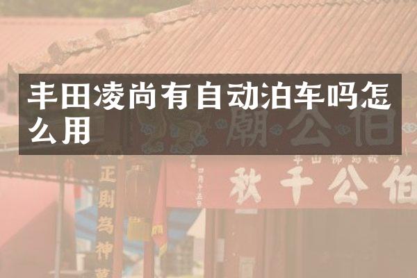 丰田凌尚有自动泊车吗怎么用