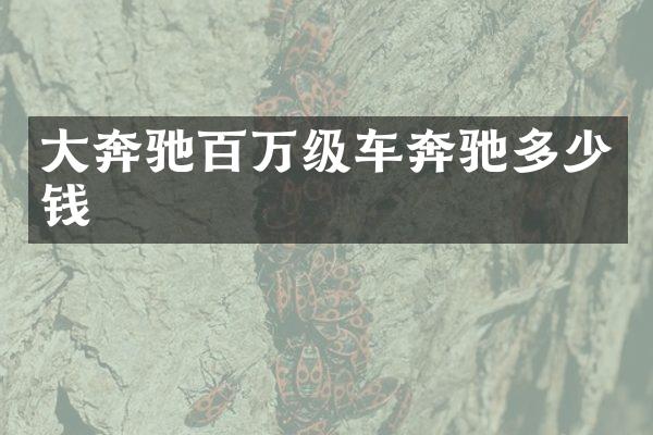 大奔驰百万级车奔驰多少钱